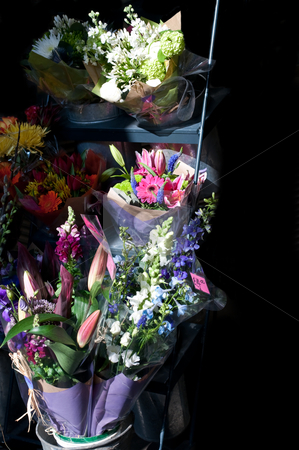 To use this stock image in your creative project, please select the size you need over to the right and click the "Add to Cart" button.
Your downloaded image will come with the Cutcaster watermark removed so don’t worry about the watermark you see on this page. Bouquets for sale stock photo, A colourful collection of bouquets for sale arranged outside a florist shop by Samantha Craddock