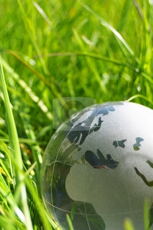Glass globe or earth in grass Glass globe or earth in grass stock photo, glass globe or earth in green grass showing eco concept with copyspace by Gunnar Pippel