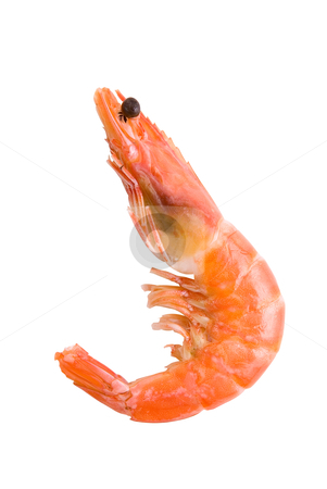 To use this stock image in your creative project, please select the size you need over to the right and click the "Add to Cart" button.
Your downloaded image will come with the Cutcaster watermark removed so don’t worry about the watermark you see on this page. King Shrimp stock photo, King Shrimp isolated on white background by olinchuk