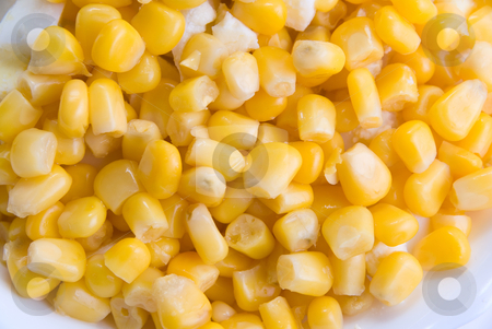 Corn seeds Corn seeds stock photo, Close up of corn seeds background by olinchuk