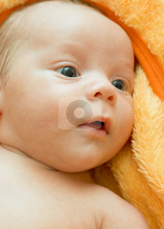 To use this stock image in your creative project, please select the size you need over to the right and click the "Add to Cart" button.
Your downloaded image will come with the Cutcaster watermark removed so don’t worry about the watermark you see on this page. Baby stock photo, Closeup Portrait of baby boy lying on the orange blanket by olinchuk