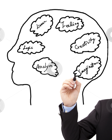 To use this stock image in your creative project, please select the size you need over to the right and click the "Add to Cart" button.
Your downloaded image will come with the Cutcaster watermark removed so don’t worry about the watermark you see on this page. Businessman's hand draw brain concept diagram stock photo, Businessman's hand draw brain concept diagram by tomwang