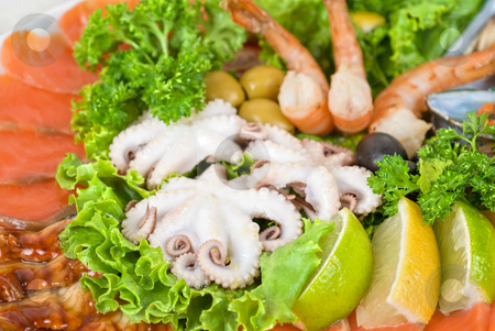 To use this stock image in your creative project, please select the size you need over to the right and click the "Add to Cart" button.
Your downloaded image will come with the Cutcaster watermark removed so don’t worry about the watermark you see on this page. Seafood set stock photo, appetizer closeup of different seafood and vegetables by olinchuk
