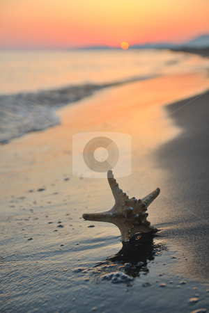 To use this stock image in your creative project, please select the size you need over to the right and click the "Add to Cart" button.
Your downloaded image will come with the Cutcaster watermark removed so don’t worry about the watermark you see on this page. Summer beach sunset with star on beach stock photo, summer beach sunset with star on beach representing freedom freshnes and travel concept by Benis Arapovic