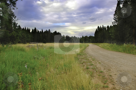 To use this stock image in your creative project, please select the size you need over to the right and click the "Add to Cart" button.
Your downloaded image will come with the Cutcaster watermark removed so don’t worry about the watermark you see on this page. Dirt Road stock photo, A narrow dirt road with storm clouds by Don Fink