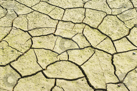 To use this stock image in your creative project, please select the size you need over to the right and click the "Add to Cart" button.
Your downloaded image will come with the Cutcaster watermark removed so don’t worry about the watermark you see on this page. Drought land was cracked. stock photo, Drought land was cracked. The lake is drying. by Lawren