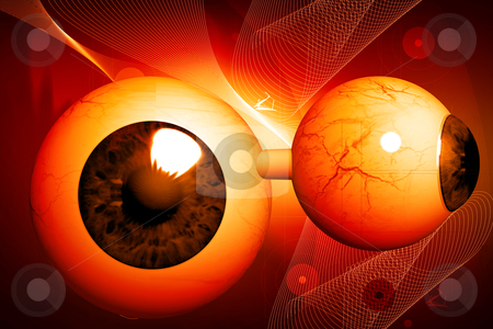 Human eye Human eye stock photo, 3d rendering human eye in color background by dileep