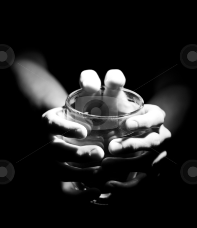 To use this stock image in your creative project, please select the size you need over to the right and click the "Add to Cart" button.
Your downloaded image will come with the Cutcaster watermark removed so don’t worry about the watermark you see on this page. Morning Coffee stock photo, A high contrast low key image or morning coffee by Robby Ticknor