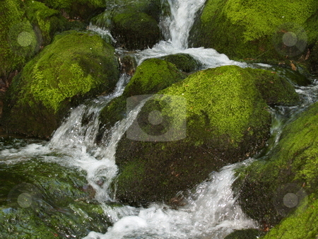 To use this stock image in your creative project, please select the size you need over to the right and click the "Add to Cart" button.
Your downloaded image will come with the Cutcaster watermark removed so don’t worry about the watermark you see on this page. Water stock photo, Water by auriochucha