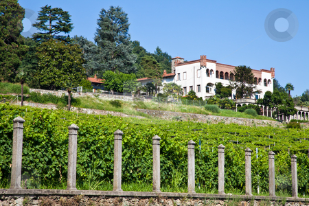 To use this stock image in your creative project, please select the size you need over to the right and click the "Add to Cart" button.
Your downloaded image will come with the Cutcaster watermark removed so don’t worry about the watermark you see on this page. Italian charming villa in vineyard stock photo, Tuscany, Italy. Italian luxury villa in the country, close to a Lambrusco vineyard by Perseomedusa