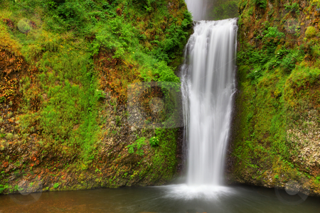 To use this stock image in your creative project, please select the size you need over to the right and click the "Add to Cart" button.
Your downloaded image will come with the Cutcaster watermark removed so don’t worry about the watermark you see on this page. Falling into Green Right stock photo, Small water falls dropping into lagoon surrounded with green plants and out to a stream by bobkeenan