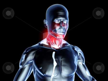 To use this stock image in your creative project, please select the size you need over to the right and click the "Add to Cart" button.
Your downloaded image will come with the Cutcaster watermark removed so don’t worry about the watermark you see on this page. Sore Throat - Anatomy stock photo, Medical Illustration. 3D rendered Illustration. Isolated on black. by Michael Osterrieder