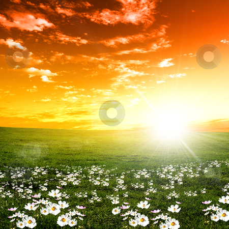 Nature landscape and the sunset Nature landscape and the sunset stock photo, nature landscape and sunset on the background by Sergey Nivens
