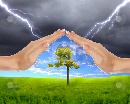 To use this stock image in your creative project, please select the size you need over to the right and click the "Add to Cart" button.
Your downloaded image will come with the Cutcaster watermark removed so don’t worry about the watermark you see on this page. Human hands protecting tree stock photo, human hands protecting tree from thunderstorm and lighting by Sergey Nivens