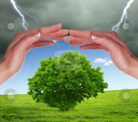 To use this stock image in your creative project, please select the size you need over to the right and click the "Add to Cart" button.
Your downloaded image will come with the Cutcaster watermark removed so don’t worry about the watermark you see on this page. Human hands protecting tree stock photo, human hands protecting tree from thunderstorm and lighting by Sergey Nivens