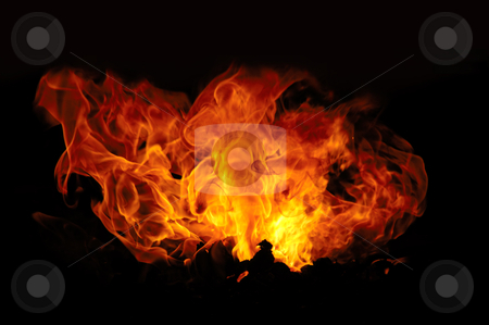 To use this stock image in your creative project, please select the size you need over to the right and click the "Add to Cart" button.
Your downloaded image will come with the Cutcaster watermark removed so don’t worry about the watermark you see on this page. Fire stock photo, Fire isolated on a black background. by Lars Christensen