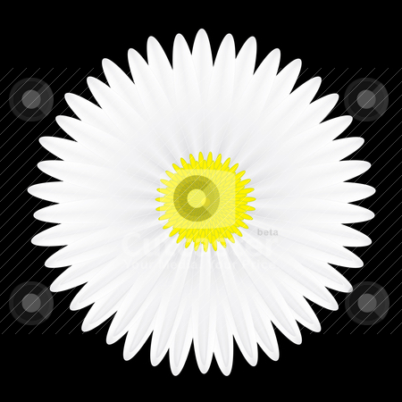 To use this stock image in your creative project, please select the size you need over to the right and click the "Add to Cart" button.
Your downloaded image will come with the Cutcaster watermark removed so don’t worry about the watermark you see on this page. Flower stock vector clipart, The vector illustration contain the image of flower by Aleksandr Korablin