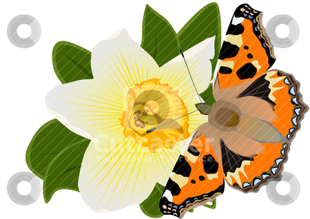 To use this stock image in your creative project, please select the size you need over to the right and click the "Add to Cart" button.
Your downloaded image will come with the Cutcaster watermark removed so don’t worry about the watermark you see on this page. Butterfly on a flower stock vector clipart, Illustration of a spring theme. A butterfly sitting on flower by Sergey Skryl