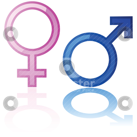 Male and female symbols Male and female symbols stock vector clipart, Glossy illustration of a male and a female symbol reflected over a white background by Bruno Marsiaj