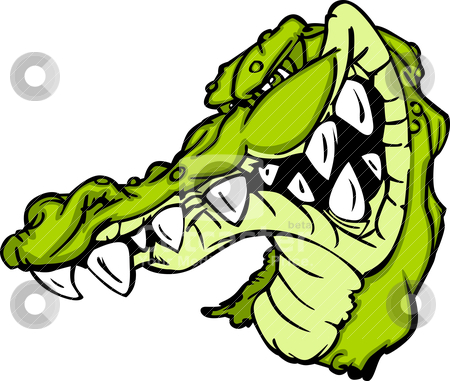 Cartoon+Gator+Head Gator or Alligator Mascot Cartoon stock vector clipart, Cartoon Image ...
