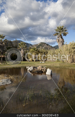 To use this stock image in your creative project, please select the size you need over to the right and click the "Add to Cart" button.
Your downloaded image will come with the Cutcaster watermark removed so don’t worry about the watermark you see on this page. Pond stock photo, A natural pond with water and fall colors by Kevin Tietz