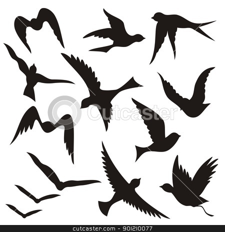 To use this stock image in your creative project, please select the size you need over to the right and click the "Add to Cart" button.
Your downloaded image will come with the Cutcaster watermark removed so don’t worry about the watermark you see on this page. Flying bird silhouettes stock vector clipart, A set of flying birds silhouettes isolated on white background. by fractal.gr