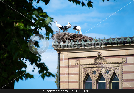 To use this stock image in your creative project, please select the size you need over to the right and click the "Add to Cart" button.
Your downloaded image will come with the Cutcaster watermark removed so don’t worry about the watermark you see on this page. Stork Family stock photo, Family of three storks in the nest on arabic building by Frank G?