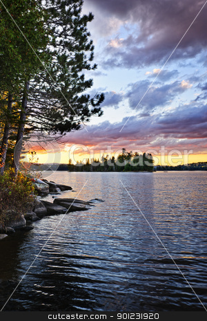 To use this stock image in your creative project, please select the size you need over to the right and click the "Add to Cart" button.
Your downloaded image will come with the Cutcaster watermark removed so don’t worry about the watermark you see on this page. Dramatic sunset at lake stock photo, Dramatic sunset and pines at Lake of Two Rivers in Algonquin Park, Ontario, Canada by Elena Elisseeva