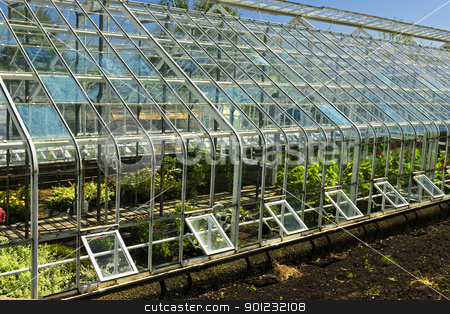 To use this stock image in your creative project, please select the size you need over to the right and click the "Add to Cart" button.
Your downloaded image will come with the Cutcaster watermark removed so don’t worry about the watermark you see on this page. Greenhouse stock photo, Large glass greenhouse or hothouse building exterior with plants by Elena Elisseeva