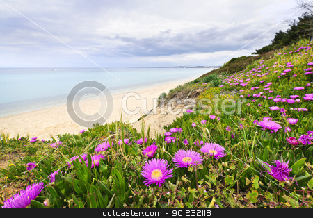 To use this stock image in your creative project, please select the size you need over to the right and click the "Add to Cart" button.
Your downloaded image will come with the Cutcaster watermark removed so don’t worry about the watermark you see on this page. Mediterranean landscape stock photo, Coast of Aegean sea with blooming wildflowers in Chalkidiki, Greece by Elena Elisseeva