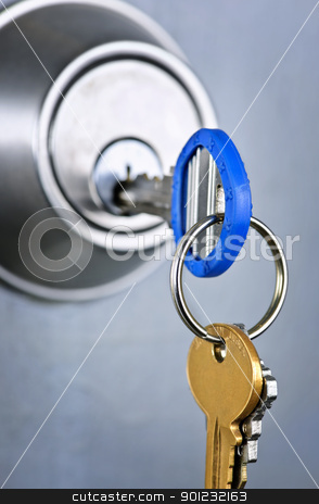 To use this stock image in your creative project, please select the size you need over to the right and click the "Add to Cart" button.
Your downloaded image will come with the Cutcaster watermark removed so don’t worry about the watermark you see on this page. Keys in lock stock photo, Keys inserted in door lock close up by Elena Elisseeva