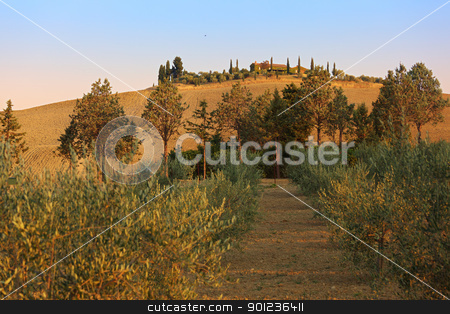 To use this stock image in your creative project, please select the size you need over to the right and click the "Add to Cart" button.
Your downloaded image will come with the Cutcaster watermark removed so don’t worry about the watermark you see on this page. Tuscany landscape stock photo, Sunrise in Val d'Orcia, view on a typical agricultural hill with villa and field by Natalia Macheda