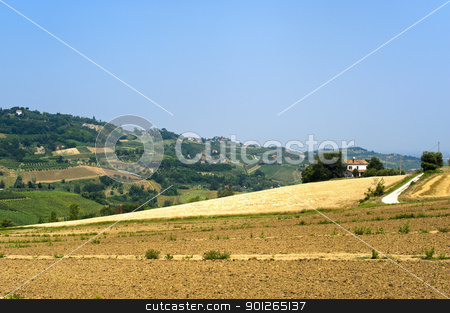 To use this stock image in your creative project, please select the size you need over to the right and click the "Add to Cart" button.
Your downloaded image will come with the Cutcaster watermark removed so don’t worry about the watermark you see on this page. Landscape in Emilia Romagna (Italy) at summer stock photo, Landscape in Emilia Romagna (Italy) at summer by clodio