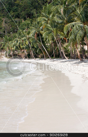To use this stock image in your creative project, please select the size you need over to the right and click the "Add to Cart" button.
Your downloaded image will come with the Cutcaster watermark removed so don’t worry about the watermark you see on this page. Lots of palms stock photo, Lots of palms by Lasse Kristensen@gmail.com