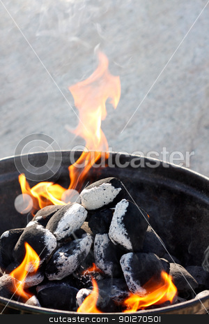 To use this stock image in your creative project, please select the size you need over to the right and click the "Add to Cart" button.
Your downloaded image will come with the Cutcaster watermark removed so don’t worry about the watermark you see on this page. Barbecue stock photo, A grill with charcoal and flames by Lasse Kristensen@gmail.com