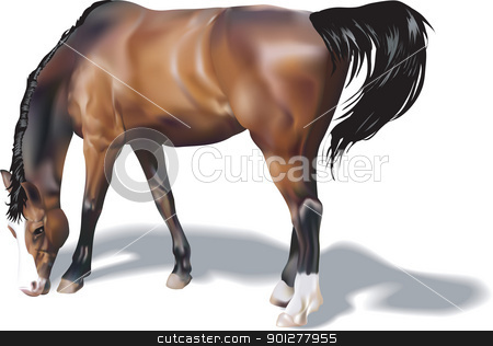 To use this stock image in your creative project, please select the size you need over to the right and click the "Add to Cart" button.
Your downloaded image will come with the Cutcaster watermark removed so don’t worry about the watermark you see on this page. Horse Illustration stock vector clipart, A photorealistic illustration of a horse. Created with meshes. by Christos Georghiou