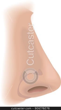 To use this stock image in your creative project, please select the size you need over to the right and click the "Add to Cart" button.
Your downloaded image will come with the Cutcaster watermark removed so don’t worry about the watermark you see on this page. nose Illustration stock vector clipart, An illustration of a human nose, no meshes used by Christos Georghiou