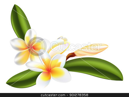 To use this stock image in your creative project, please select the size you need over to the right and click the "Add to Cart" button.
Your downloaded image will come with the Cutcaster watermark removed so don’t worry about the watermark you see on this page. frangipani or plumeria flower stock vector clipart, illustration of beautiful frangipani or plumeria flowers by Christos Georghiou