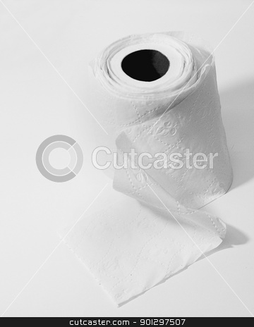 To use this stock image in your creative project, please select the size you need over to the right and click the "Add to Cart" button.
Your downloaded image will come with the Cutcaster watermark removed so don’t worry about the watermark you see on this page. Rerolled Toilet Paper stock photo, A roll of toilet paper which is rerolled by Tyler Olson