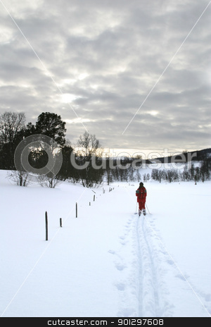 To use this stock image in your creative project, please select the size you need over to the right and click the "Add to Cart" button.
Your downloaded image will come with the Cutcaster watermark removed so don’t worry about the watermark you see on this page. Cross Country Skiing stock photo, Mountain Skiing by Tyler Olson