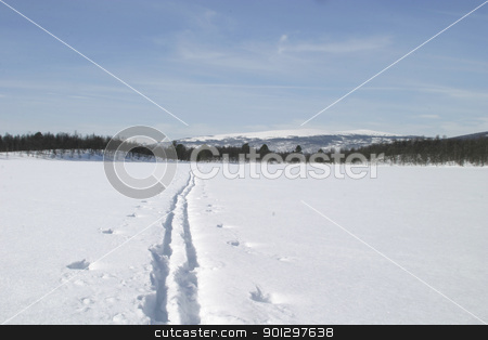 To use this stock image in your creative project, please select the size you need over to the right and click the "Add to Cart" button.
Your downloaded image will come with the Cutcaster watermark removed so don’t worry about the watermark you see on this page. Ski Trail stock photo, Ski trail across a forzen lake by Tyler Olson