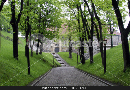 To use this stock image in your creative project, please select the size you need over to the right and click the "Add to Cart" button.
Your downloaded image will come with the Cutcaster watermark removed so don’t worry about the watermark you see on this page. Cobblestone Road stock photo, An old cobblestone road road at akershus festning, Oslo Norway by Tyler Olson