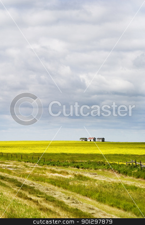 To use this stock image in your creative project, please select the size you need over to the right and click the "Add to Cart" button.
Your downloaded image will come with the Cutcaster watermark removed so don’t worry about the watermark you see on this page. Prairie Landscape stock photo, Prairie Landscape with some old granaries in the distance. by Tyler Olson