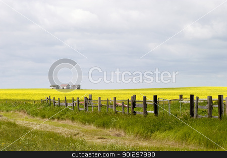 To use this stock image in your creative project, please select the size you need over to the right and click the "Add to Cart" button.
Your downloaded image will come with the Cutcaster watermark removed so don’t worry about the watermark you see on this page. Prairie Landscape - Fence Line stock photo, Prairie landscape with old fence line. by Tyler Olson