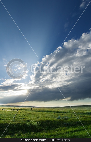 To use this stock image in your creative project, please select the size you need over to the right and click the "Add to Cart" button.
Your downloaded image will come with the Cutcaster watermark removed so don’t worry about the watermark you see on this page. Prairie Sky Landscape stock photo, Prairie Lanscape with a vivid sky by Tyler Olson