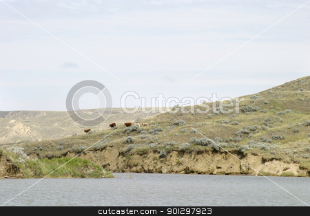 To use this stock image in your creative project, please select the size you need over to the right and click the "Add to Cart" button.
Your downloaded image will come with the Cutcaster watermark removed so don’t worry about the watermark you see on this page. River Hills stock photo, South Saskatchewan River Hills, on Diefenbaker Lake, near Beaver Flat by Tyler Olson