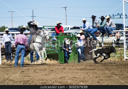 To use this stock image in your creative project, please select the size you need over to the right and click the "Add to Cart" button.
Your downloaded image will come with the Cutcaster watermark removed so don’t worry about the watermark you see on this page. Calf Roping stock photo, Calf Roping at the Herbert Rodeo by Tyler Olson