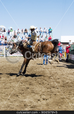 To use this stock image in your creative project, please select the size you need over to the right and click the "Add to Cart" button.
Your downloaded image will come with the Cutcaster watermark removed so don’t worry about the watermark you see on this page. Saddle Bronc stock photo, Saddle Bronc riding by Tyler Olson