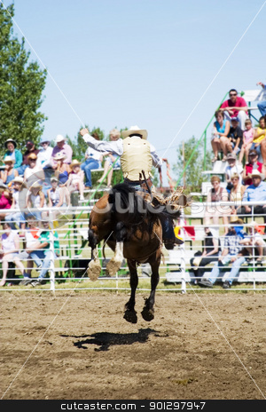 To use this stock image in your creative project, please select the size you need over to the right and click the "Add to Cart" button.
Your downloaded image will come with the Cutcaster watermark removed so don’t worry about the watermark you see on this page. Saddle Bronc stock photo, Saddle Bronc riding at a small town rodeo by Tyler Olson