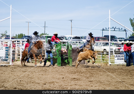 To use this stock image in your creative project, please select the size you need over to the right and click the "Add to Cart" button.
Your downloaded image will come with the Cutcaster watermark removed so don’t worry about the watermark you see on this page. Steer Wrestling stock photo, Steer Wrestling at a small town rodeo by Tyler Olson